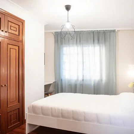 Ideal Turismo Ribeira Sacra Apartment *